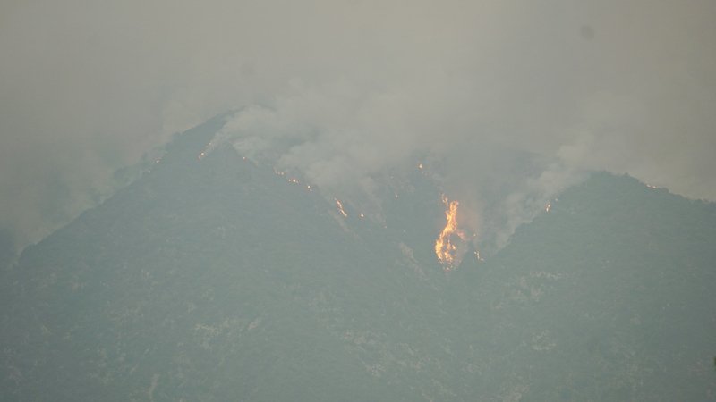 美西野火濃煙鋪天蓋地 川普擬往加州視察