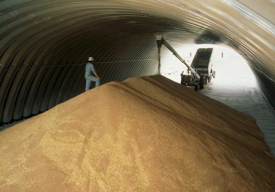 遙控地磅增重　中國國糧6天失400噸儲備糧