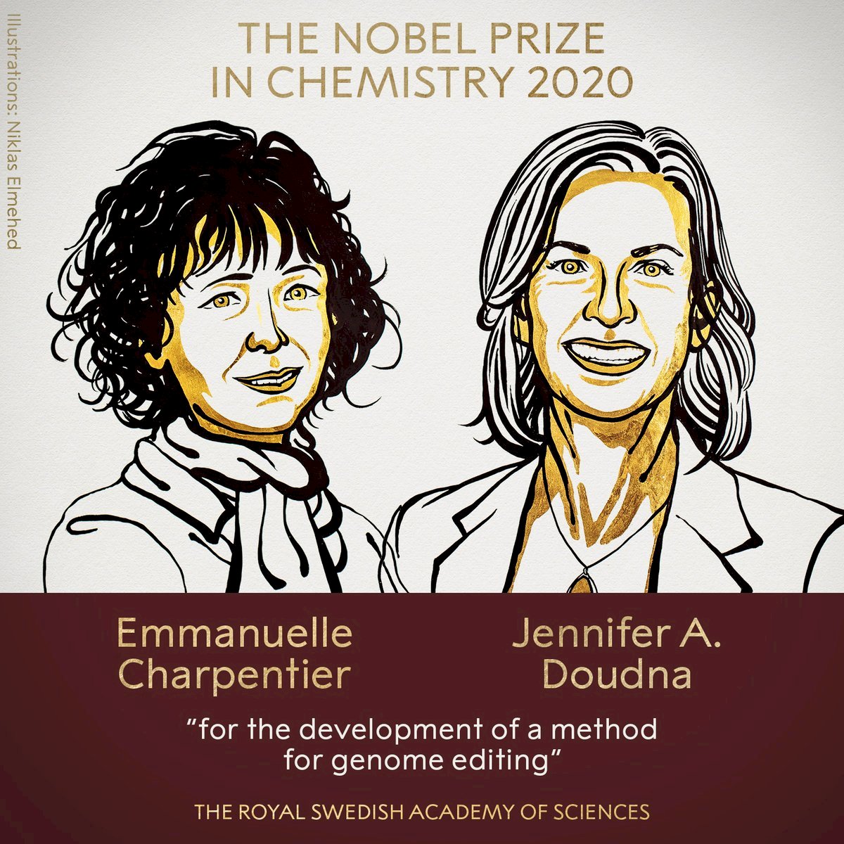 2020諾貝爾化學獎：美法2女科學家共享