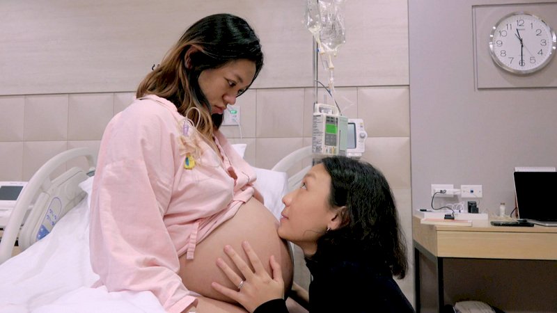 【新聞時事】一讀通過的人工生殖法修正草案，真的能讓代理孕母在台灣上路嗎？