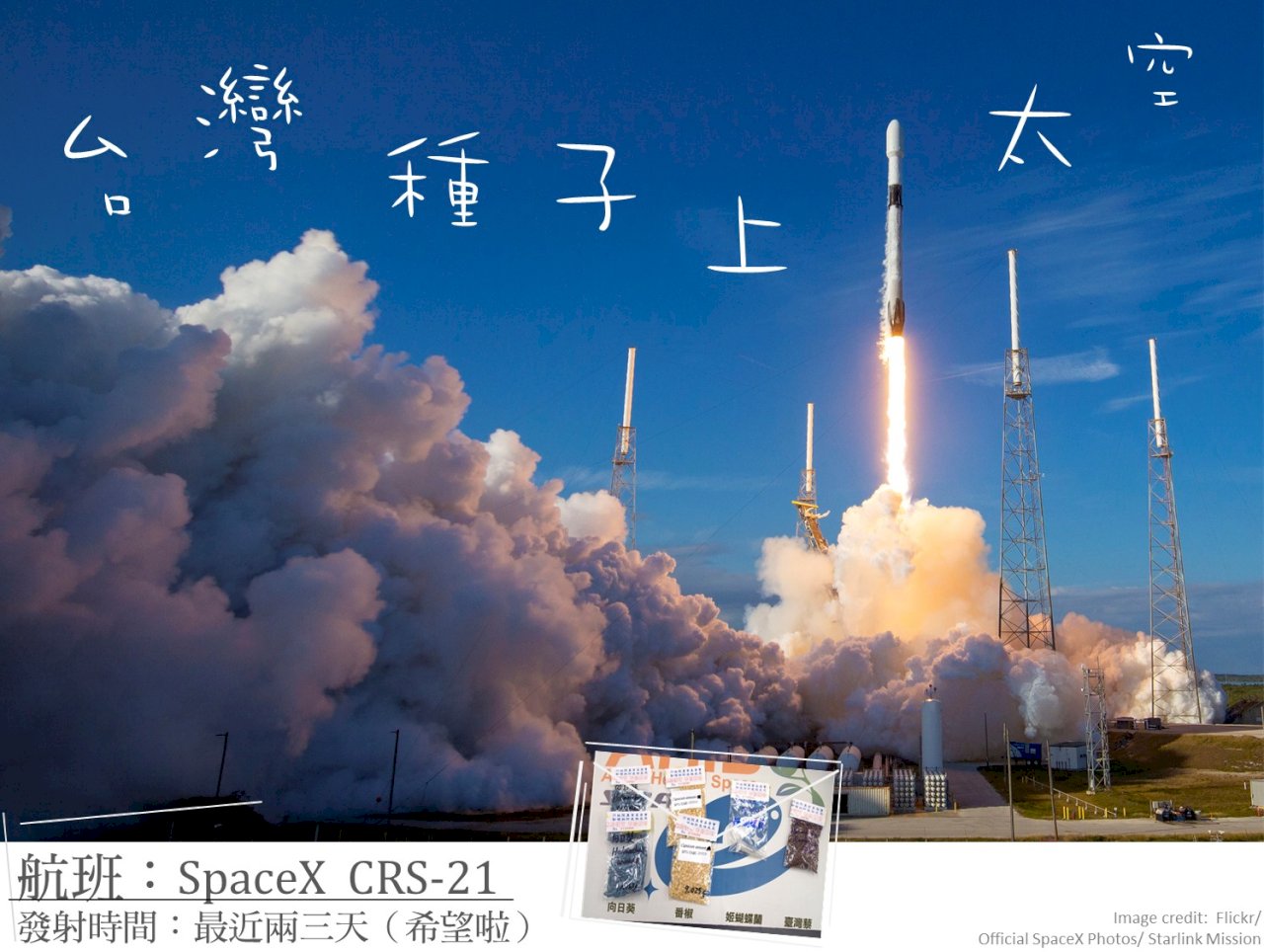 台灣向日葵等4種子 將隨SpaceX天龍號首登太空