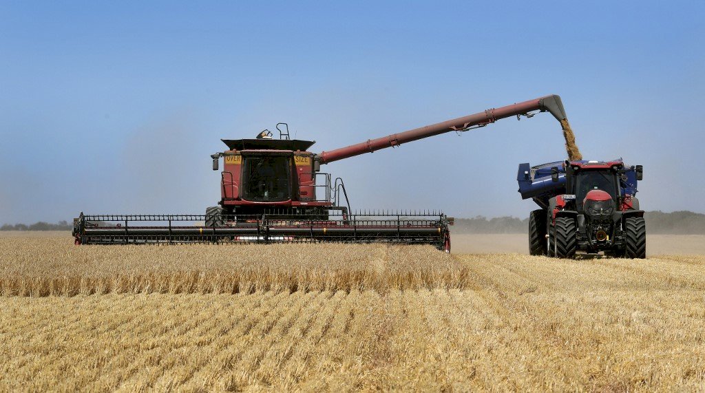 中澳修復關係 中國取消對澳洲大麥的高額關稅