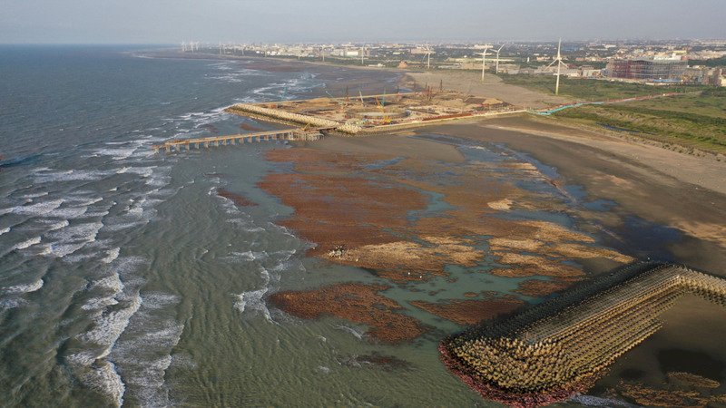 總統府：尊重公投  盡可能降低藻礁傷害