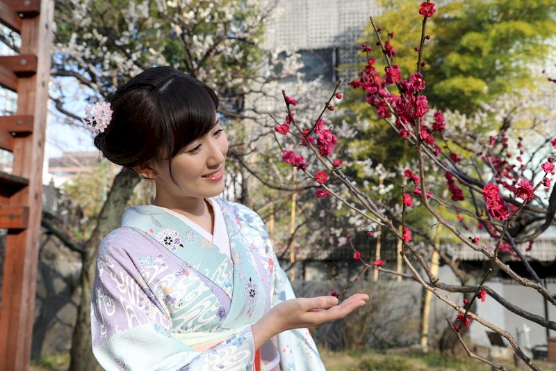 日本上千年「花見文化」 最初是以賞梅為主流