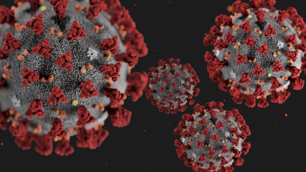 研究：南非變種病毒抗體可能有助預防其他病毒株