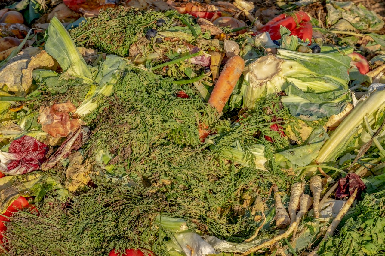 聯合國報告：全球食物在消費過程17%遭到浪費