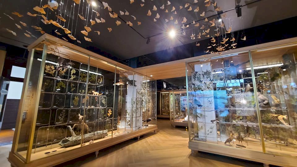 台博館更新常設展  「博物台灣」訴說寶島文化、生態多樣性