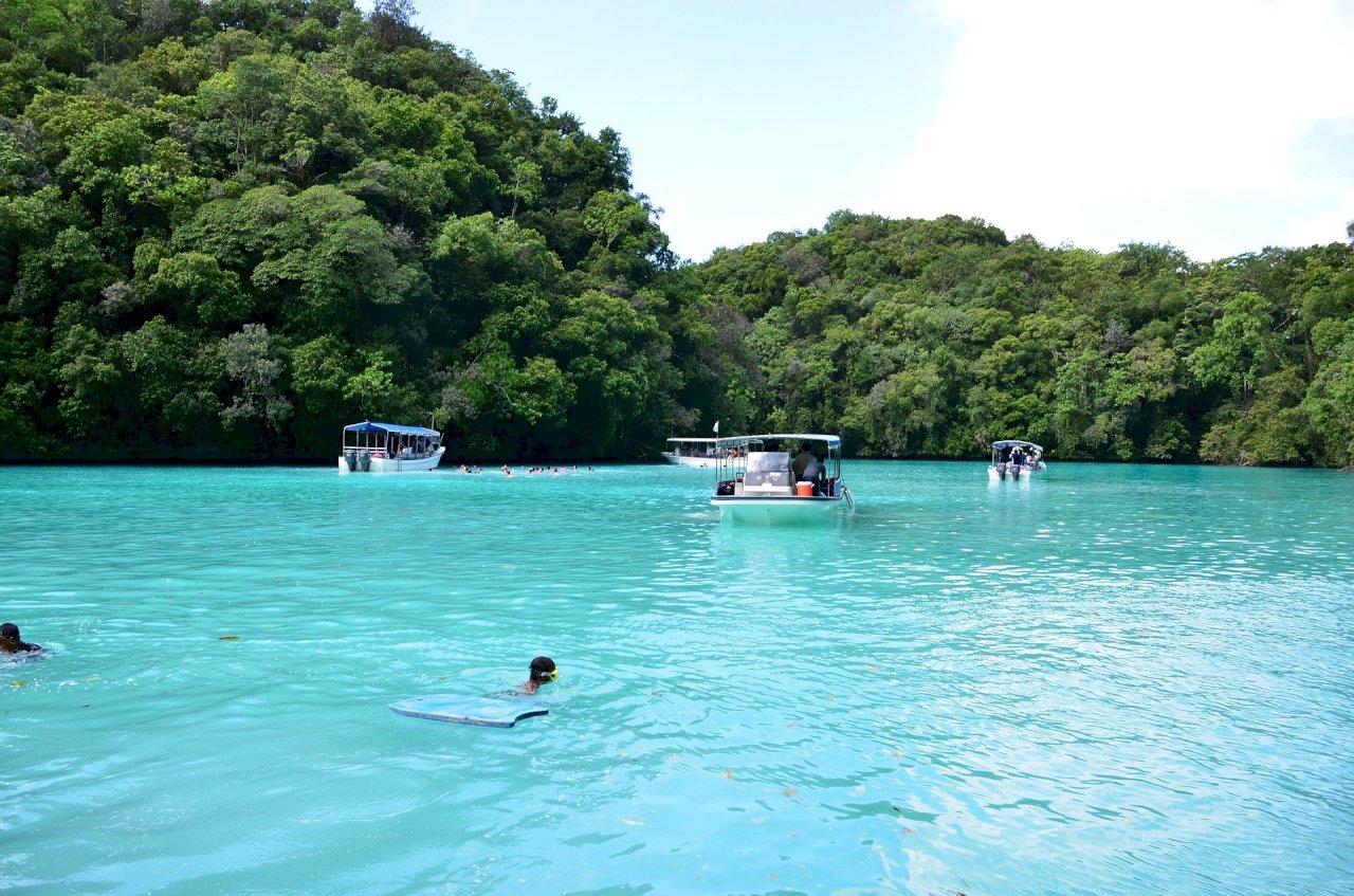 帛琉放寬旅遊泡泡旅客上限  訪水母湖補助25美元