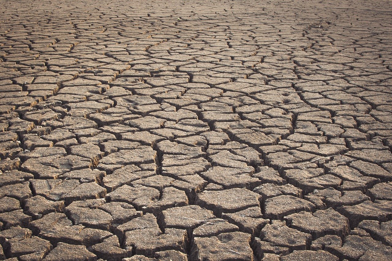 巴西亞馬遜乾旱嚴重  2023年已1664個起火點