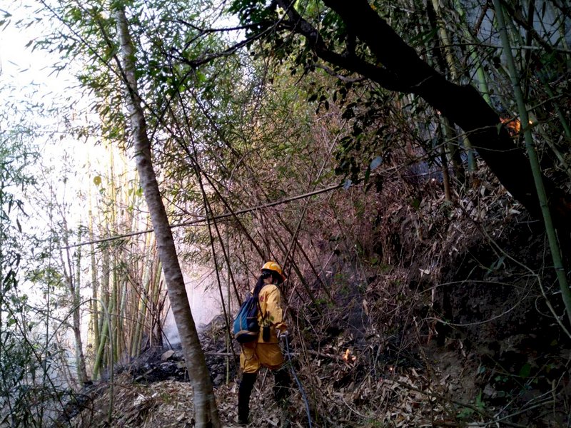 阿里山森林火災延燒5天 動員逾400人次撲滅火勢