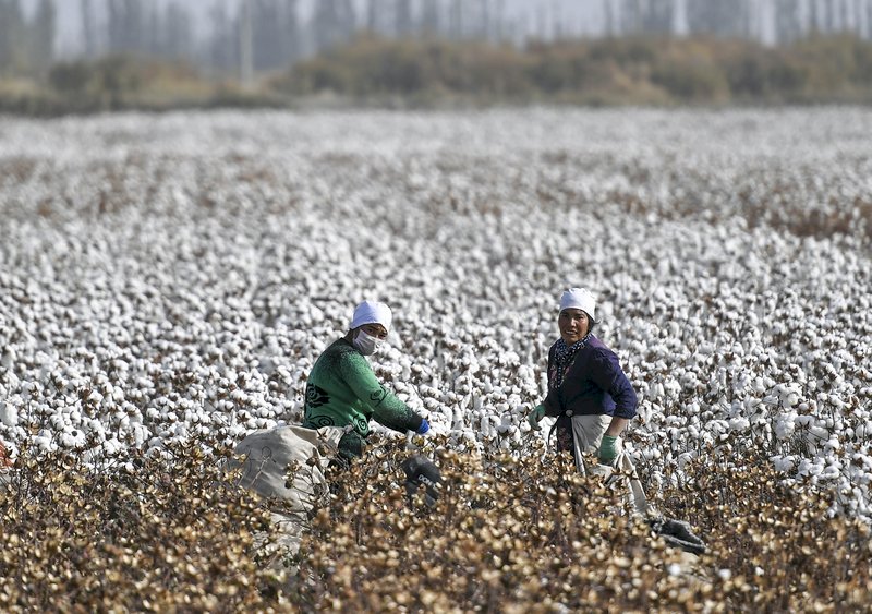 中國棉花協會：反對西方限制新疆紡織供應鏈