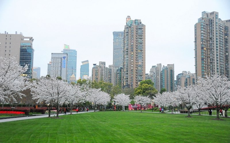 春節人潮延到清明爆發又有櫻花 上海湧現旅遊潮
