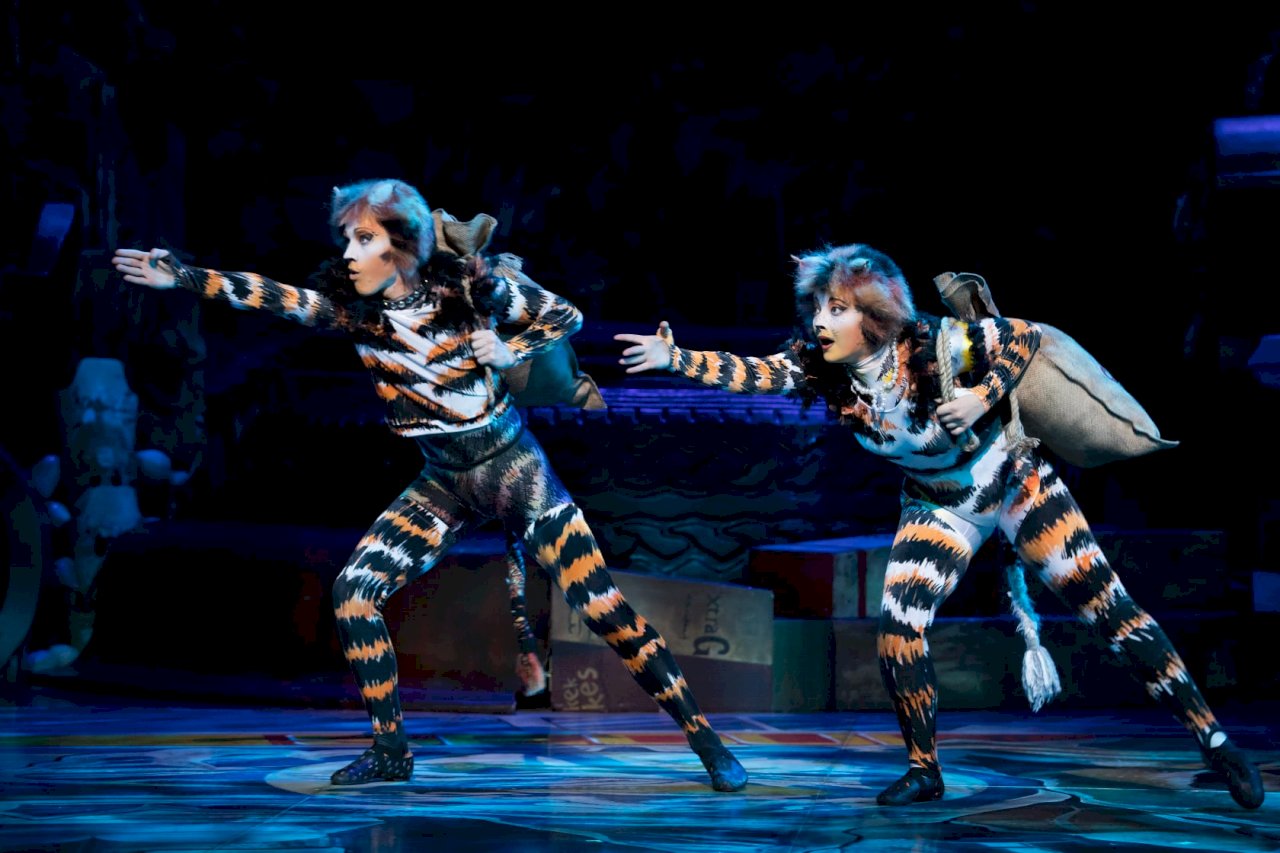 百老匯全本音樂劇「貓」  七月首次唱進花蓮