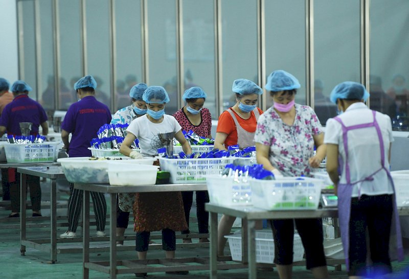 財新：8月中國製造業PMI為51.0 重現擴張