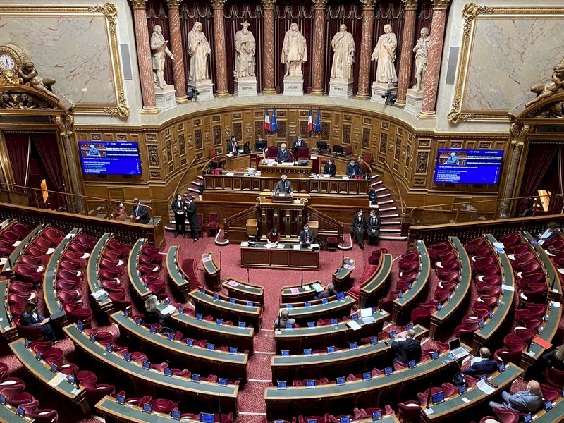 壓倒性通過！法國參議院 支持台灣參與國際組織案