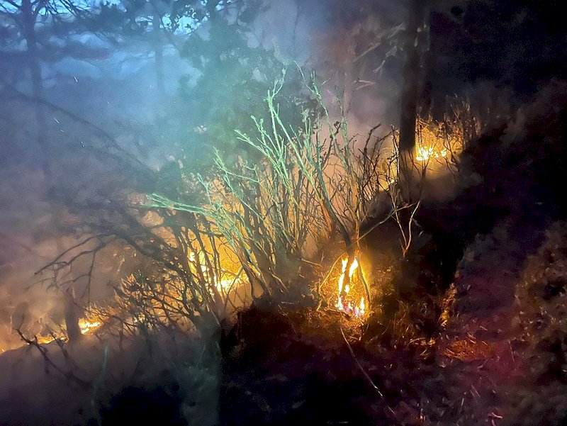玉山林班八通關森林火災  直升機支援投水滅火