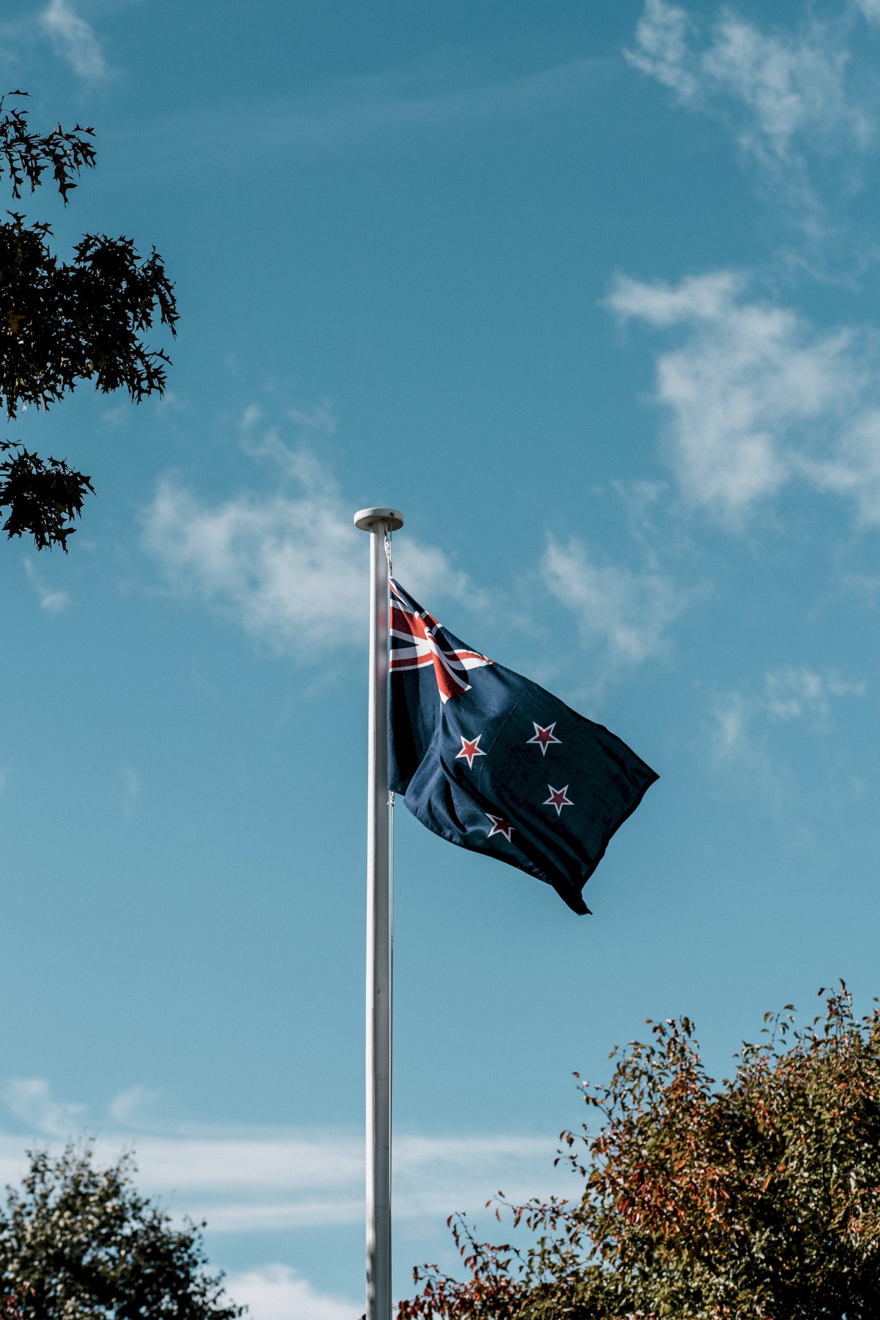 澳洲再傳群聚感染 紐西蘭喊停旅遊泡泡