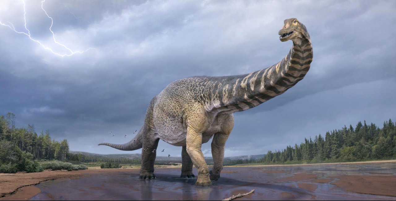 澳洲發現新恐龍 探索昆士蘭5考古景點