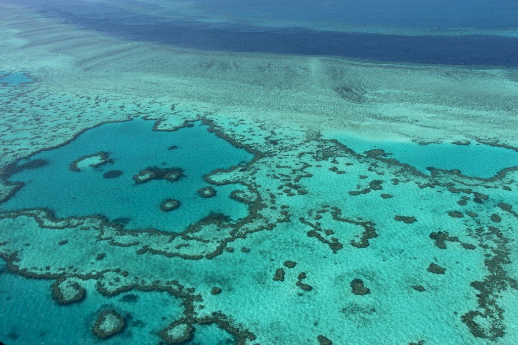 澳洲熱浪持續燒 世界遺產大堡礁91％白化