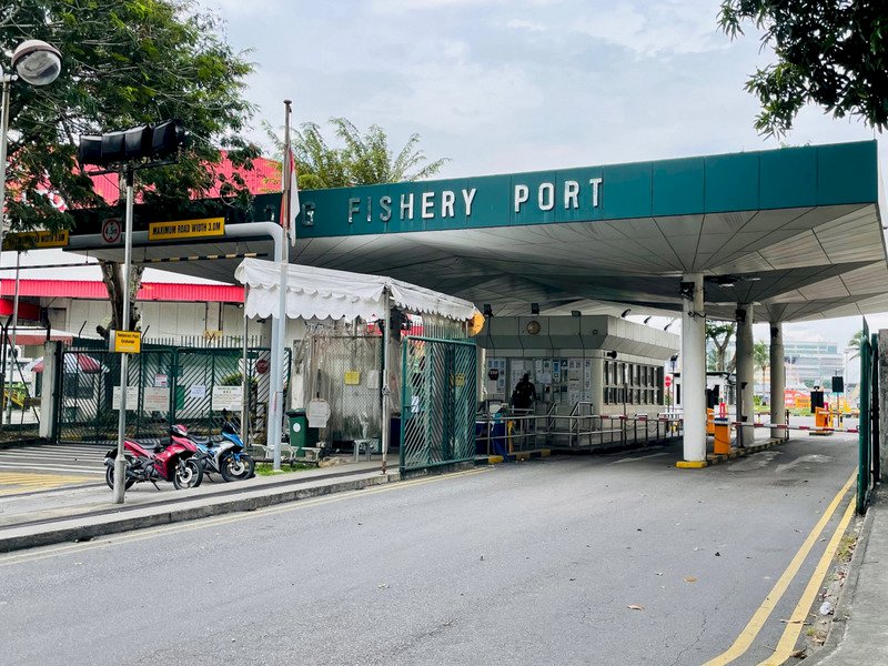 新加坡裕廊漁港群聚擴大  本土案例暴增163起