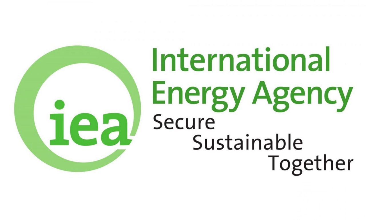 全球可再生能源成長 IEA：2022年創新紀錄