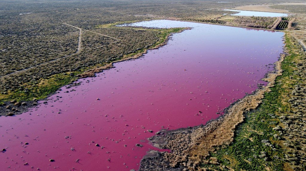 大自然怒吼還我本色 阿根廷的粉紅潟湖悲歌