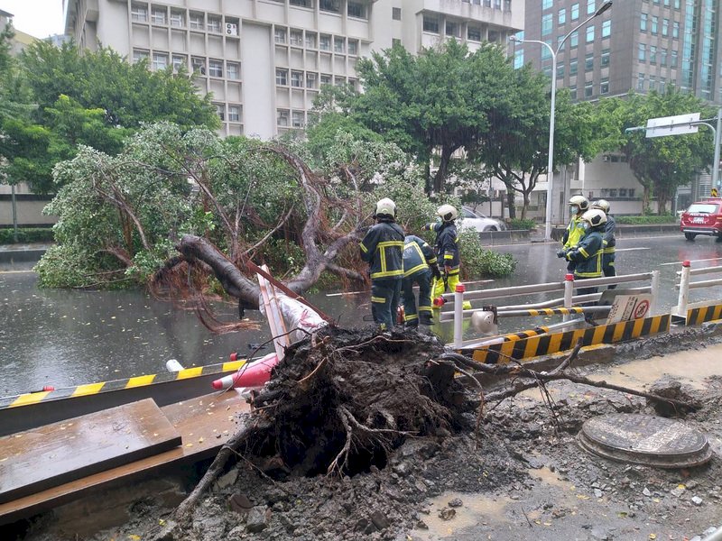 颱風璨樹釀全台201件災情 21點可望解除陸警