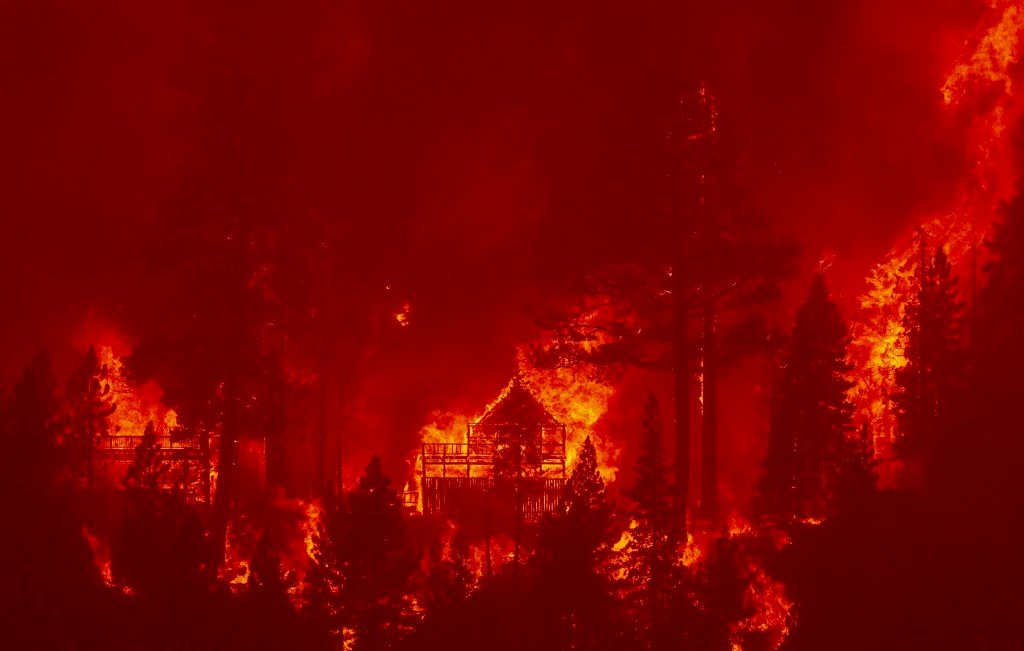 美西林火肆虐慘重 研究：人類引發氣候變遷為主因