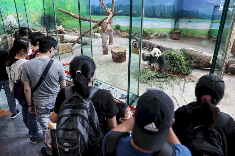 北市動物園天文館兒童新樂園  9日起取消預約制
