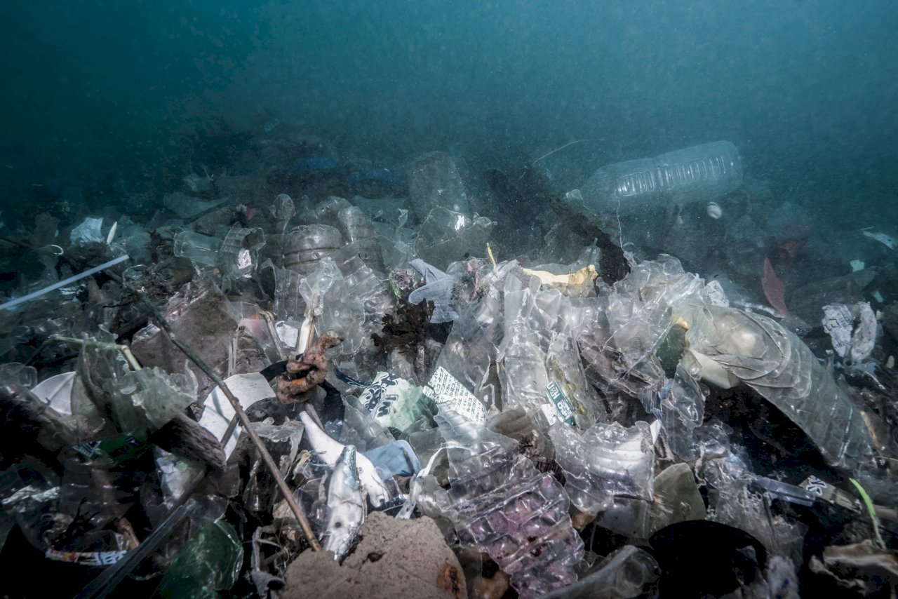 海保區一天清出422公斤垃圾 環團籲政府立即推出「海洋保育法」