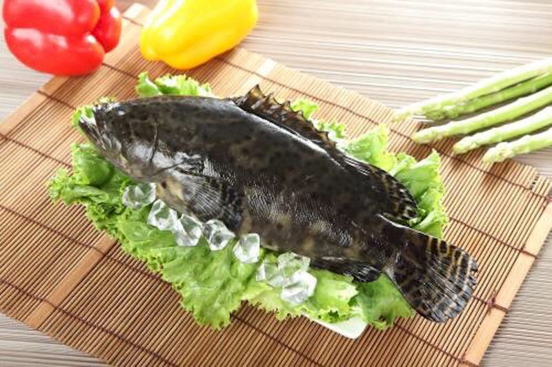 中國暫停輸入台灣石斑魚 農委會籲清楚說明