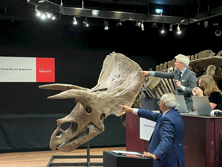 史上出土最大三角龍化石2.2億元拍出 創歐洲紀錄