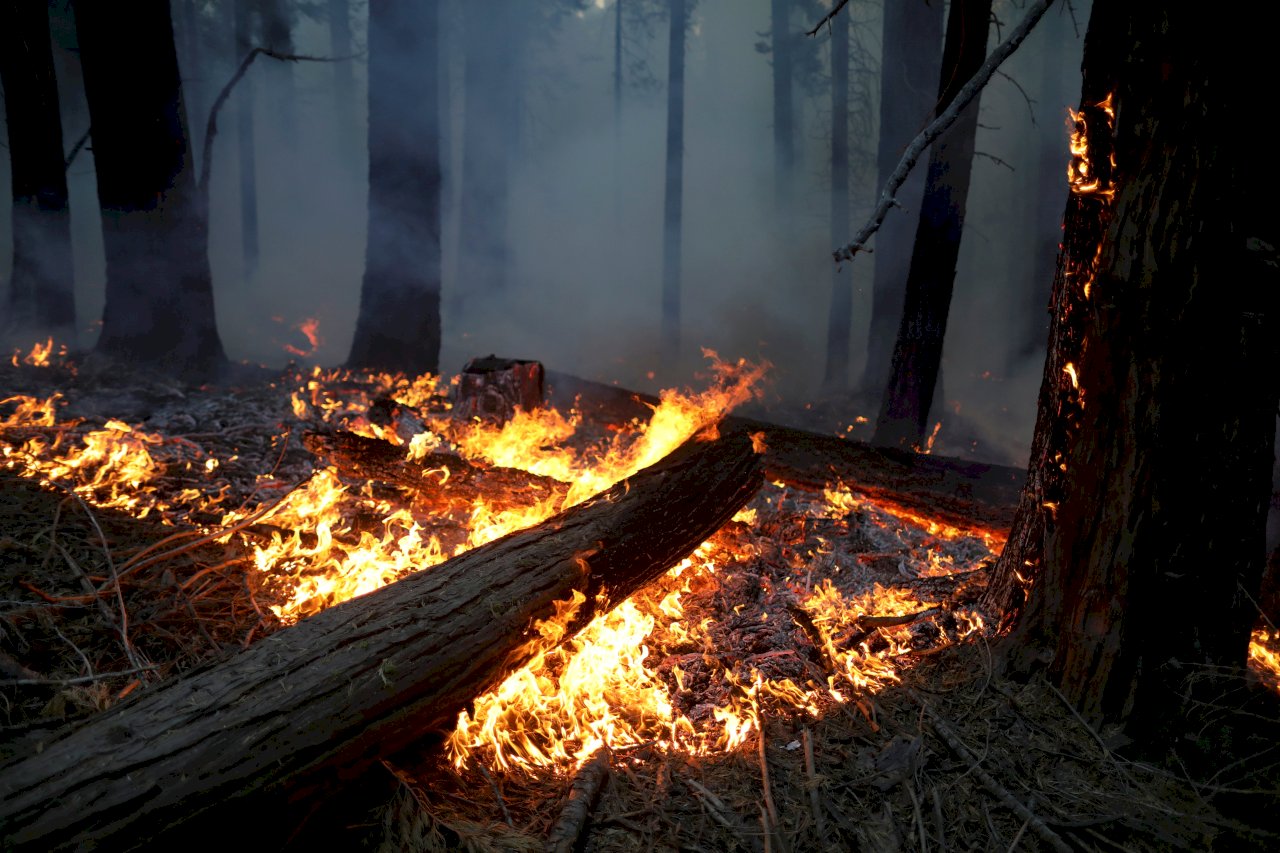 澳洲野火引發化學效應 臭氧層破洞增10%