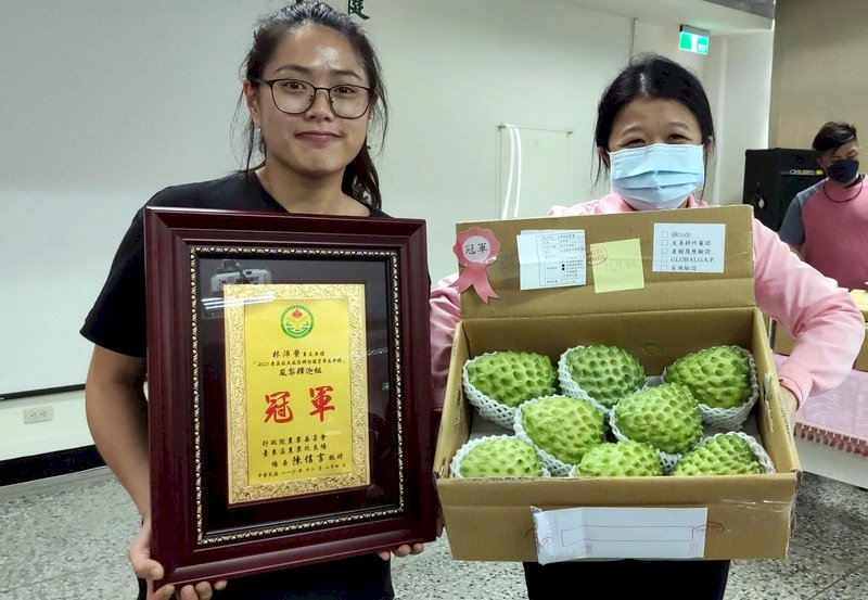 釋迦成熟時 青農最愛台灣栽種的果實