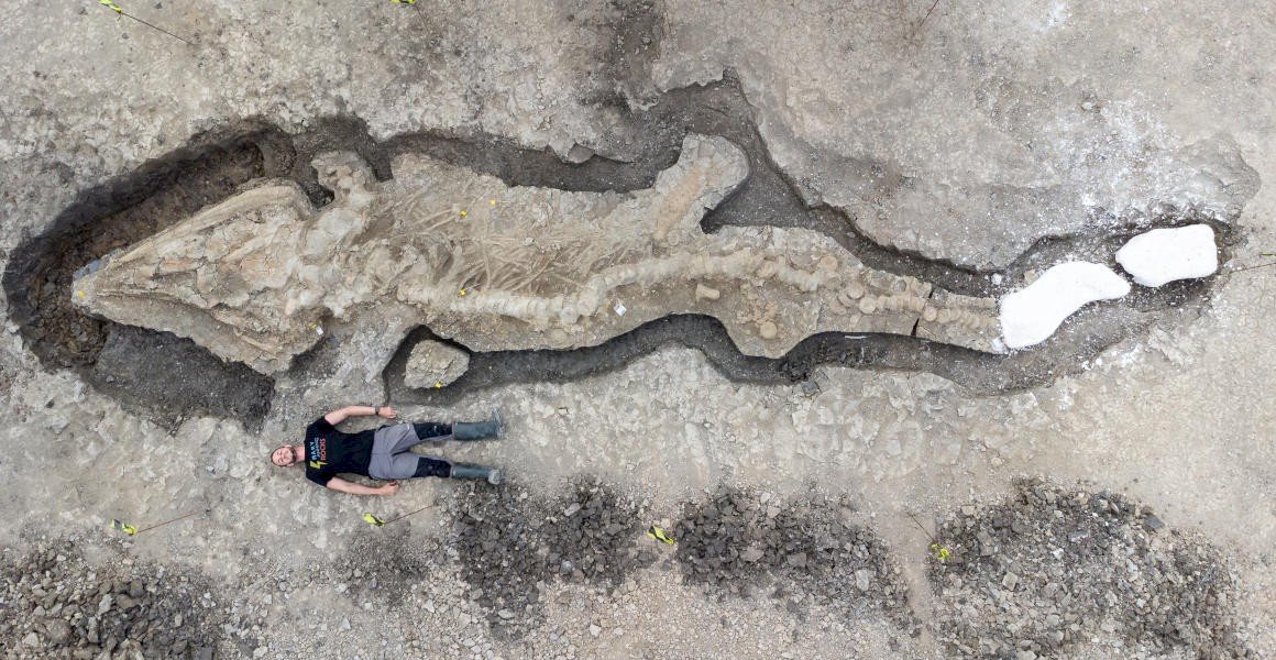 巨大魚龍化石出土 英國最偉大古生物學發現之一