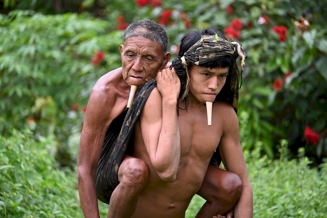 他不重，他是我爸爸！巴西雨林部落青年背父親徒步往返12小時接種疫苗