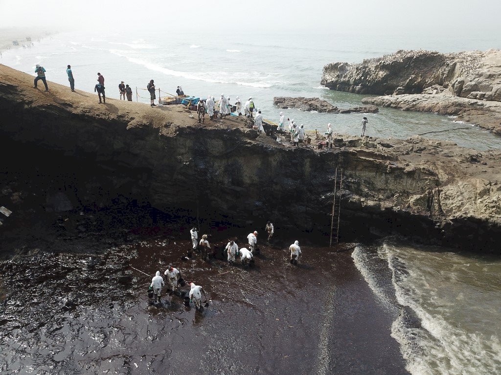 秘魯海岸原油外洩 努力拯救海鳥
