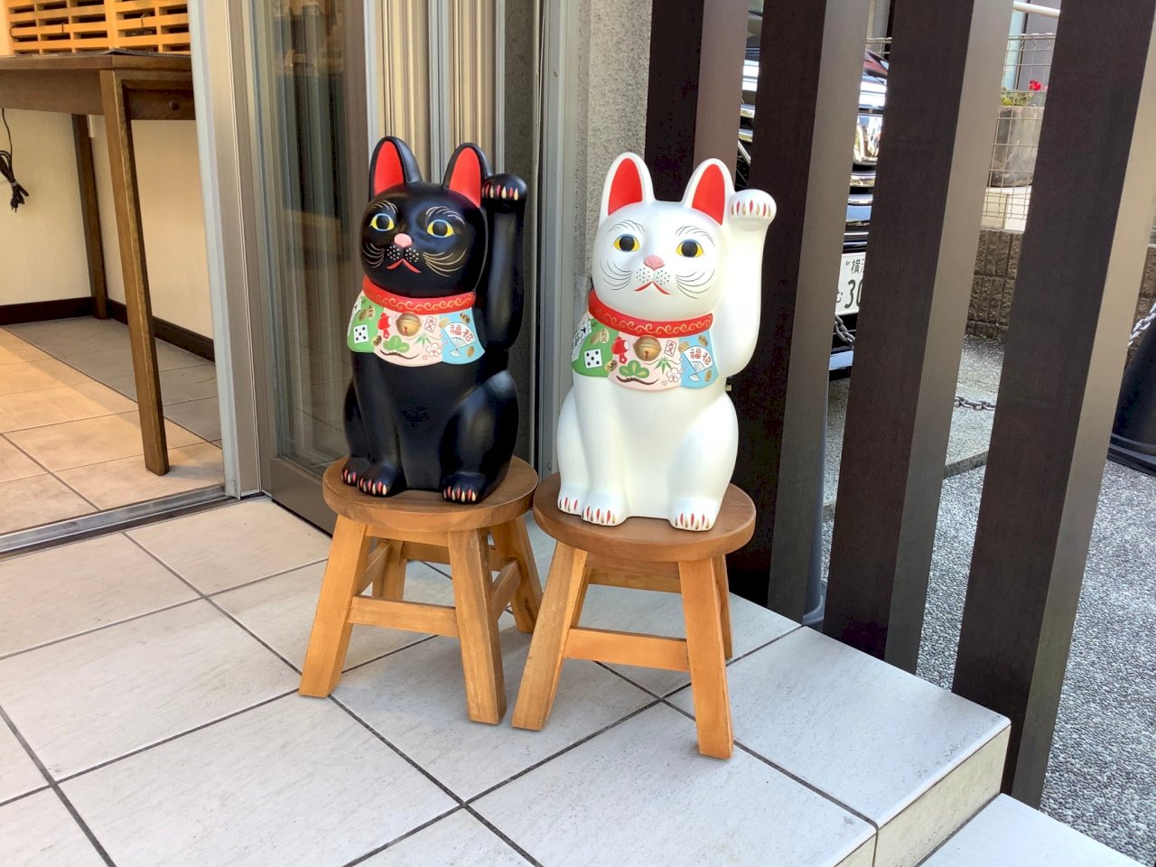 日本不思議》大貓年談貓 超級貓大國日本
