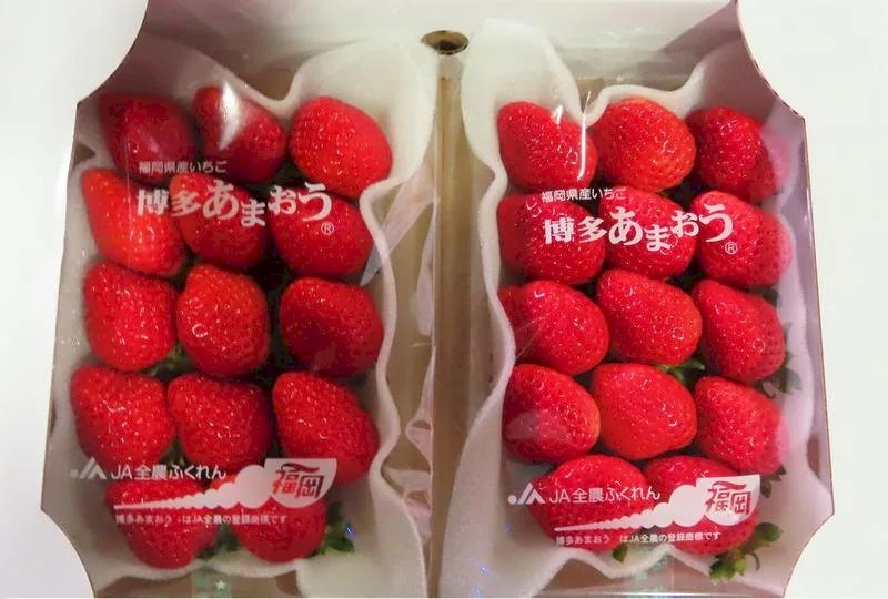 日本草莓農藥超標頻率高 食藥署啟動逐批查驗