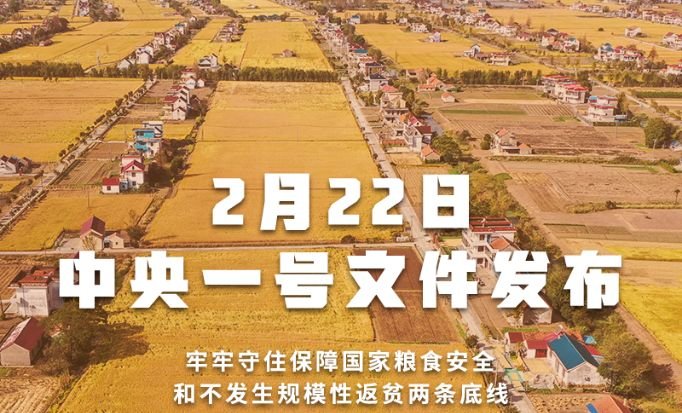 中國「中央一號文件」  擬嚴打侵害農村婦幼人身權利