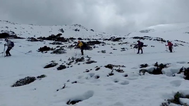 雪況創紀錄意外頻傳  雪山登山客墜谷獲救