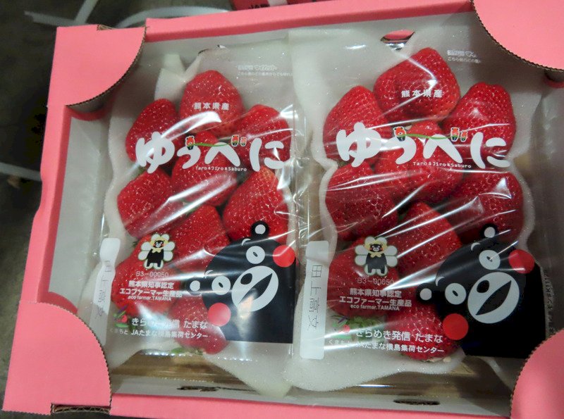 日本草莓又檢出農藥超標 食藥署：待日方說明