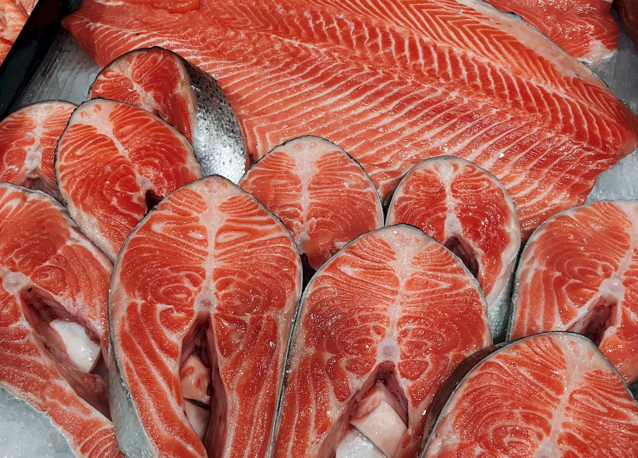 日俄將啟動延遲的鮭鱒魚捕撈配額談判