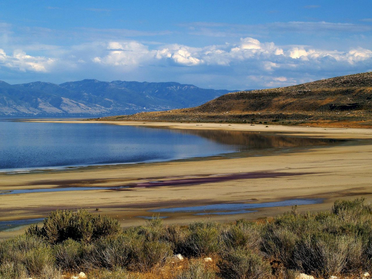 紐時：大鹽湖嚴重乾涸埋下「環境核彈」 最快今夏生態就面臨威脅
