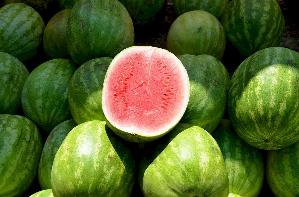 從馬王堆發現的西瓜籽 看當代的西瓜吃食