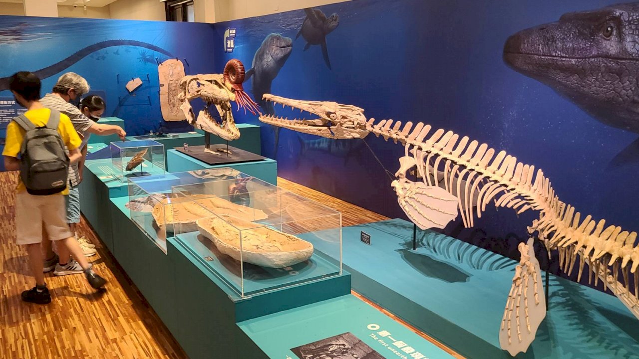 台博館推《水怪化石》特展   直擊與恐龍同行的海中巨獸