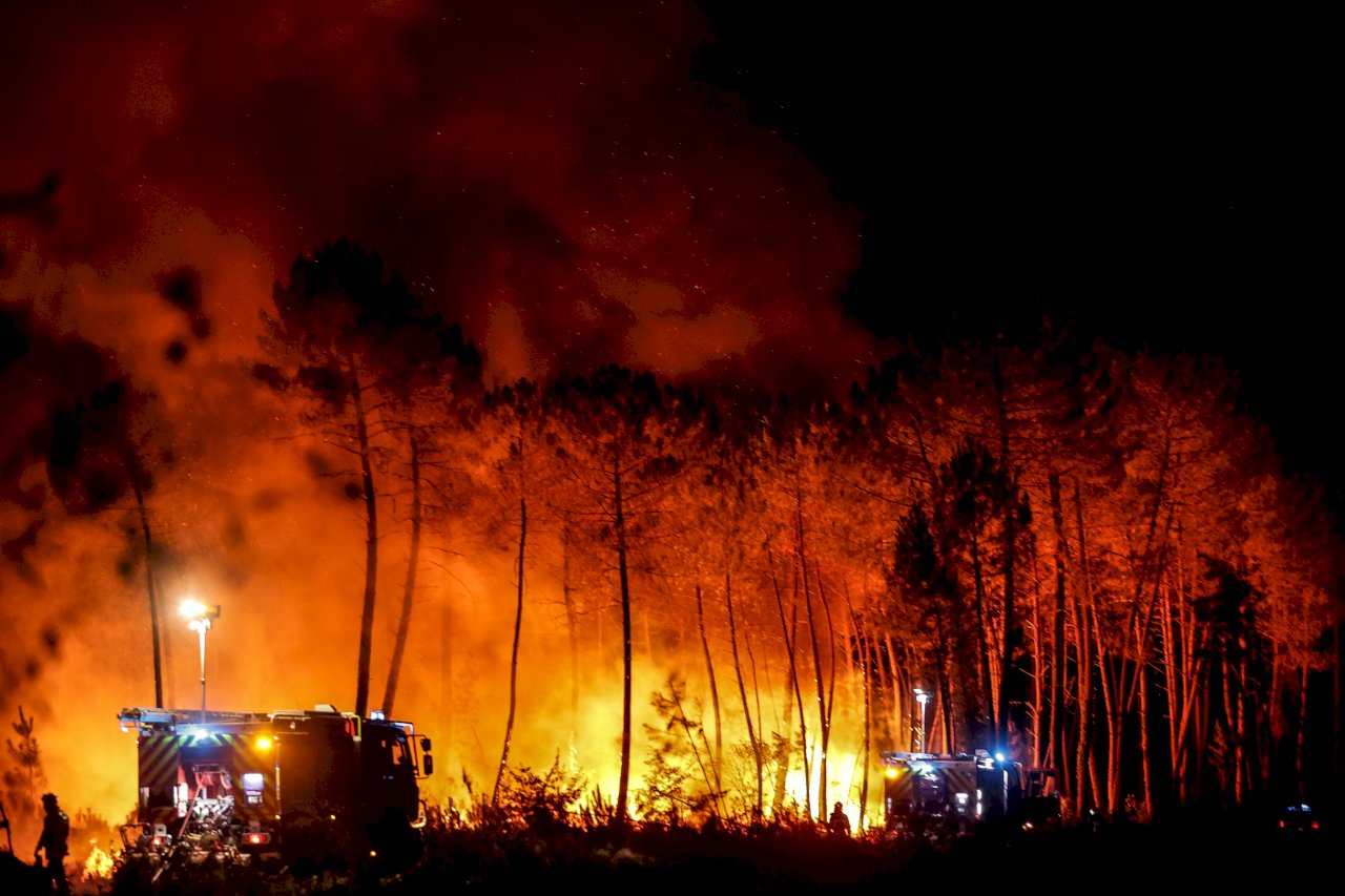 氣候變遷助威 野火每分鐘燒毀16座足球場林地