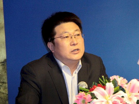 中媒：紫光集團前董座趙偉國 遭調查失聯