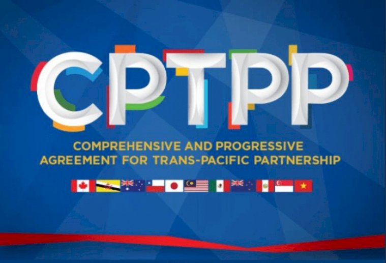 分析：中國加入CPTPP有得等 關鍵是政治