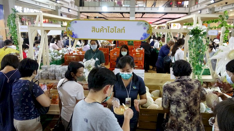 農業合作有成 台灣甜瓜風靡泰國消費者